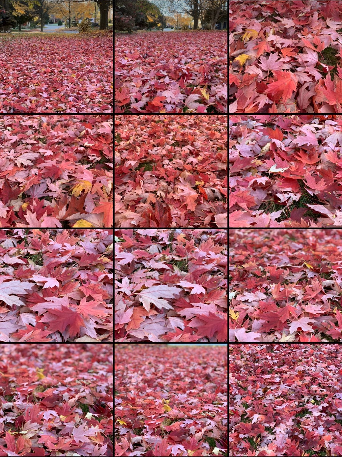 It is during our darkest moments that we must focus to see the light!