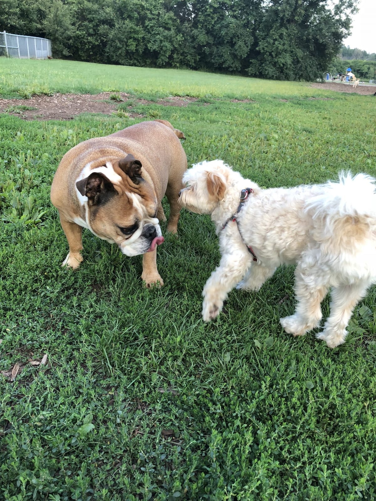 The best way to get started is to quit talking and begin doing!