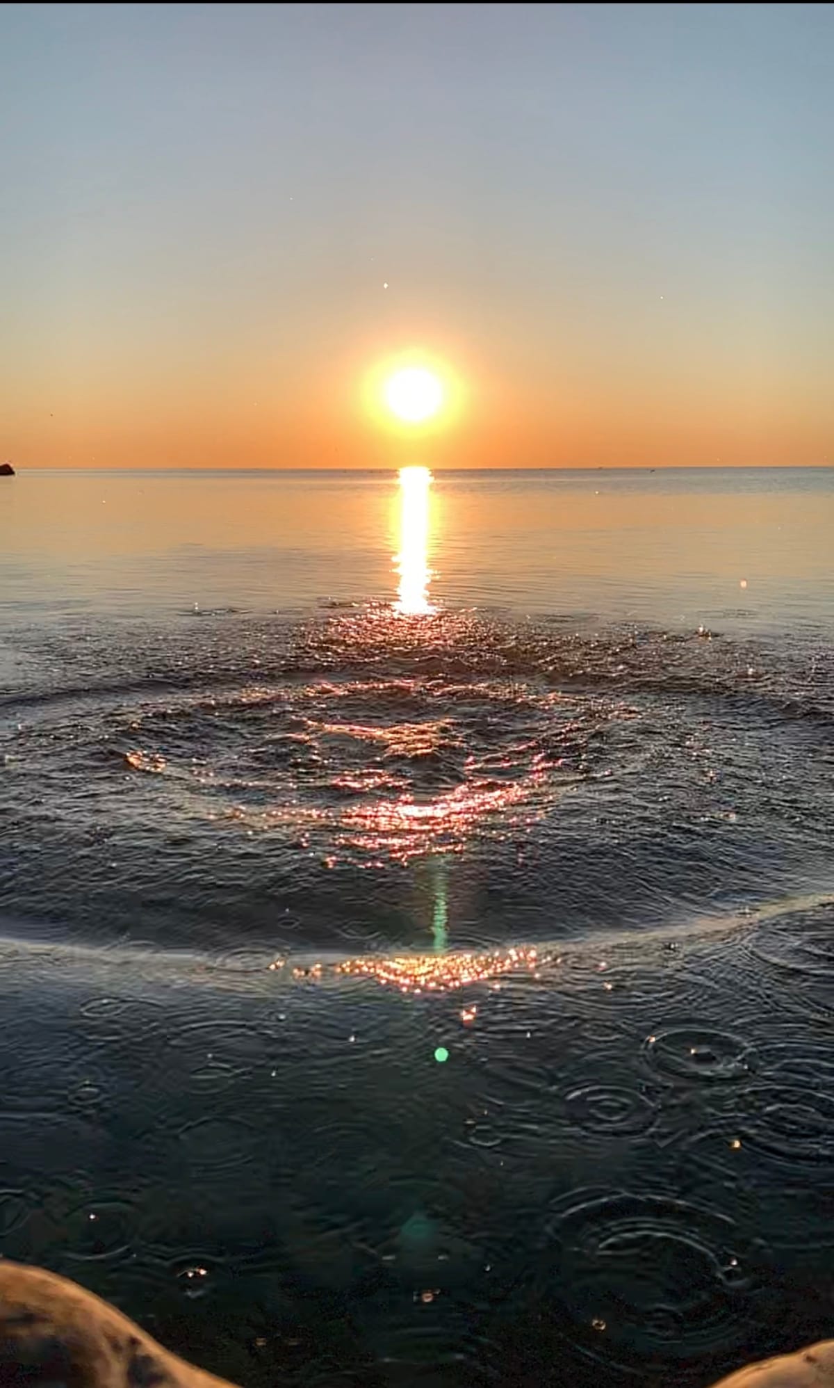 Eat, Play, Love during pandemic lockdown