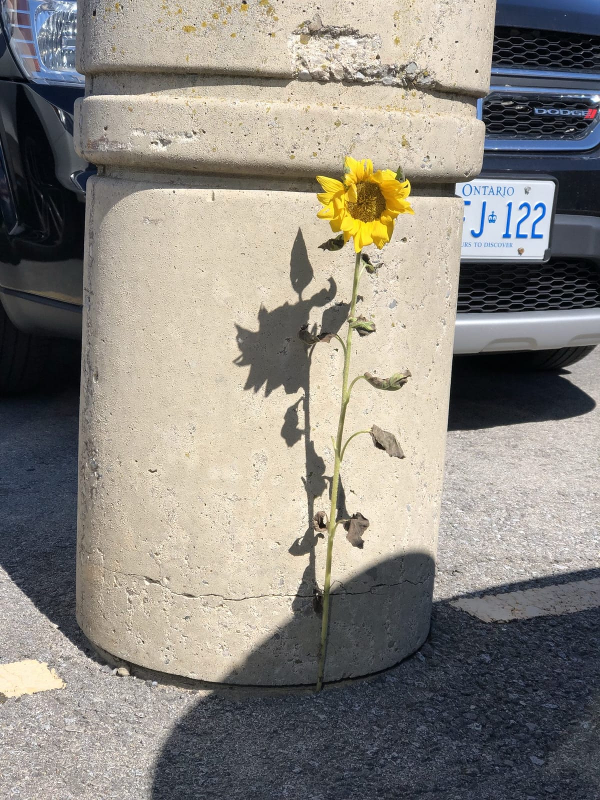 If you always give up halfway, you will never understand the joy of finishing!