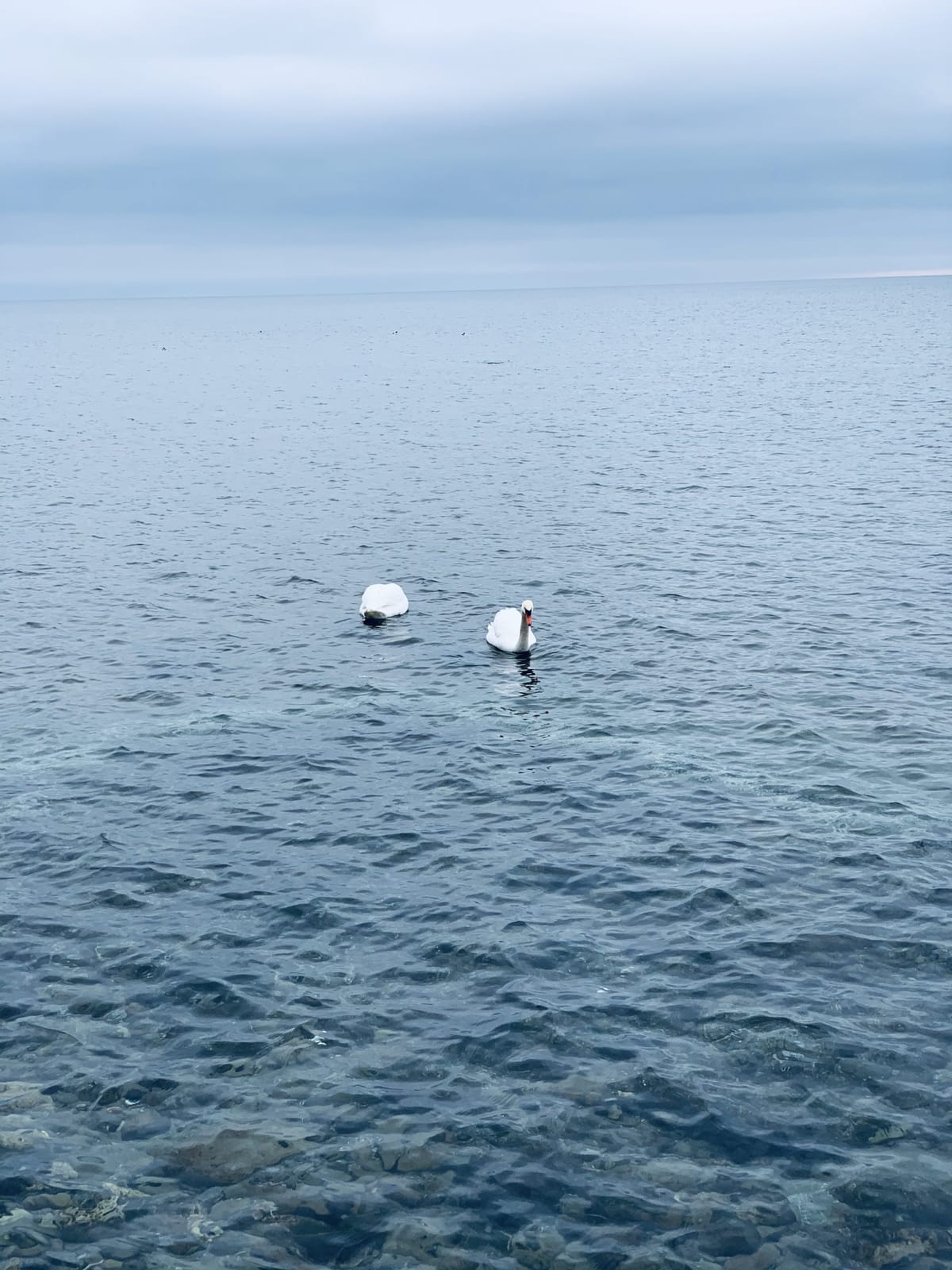 It’s not who you are underneath, it’s what you do that defines you.