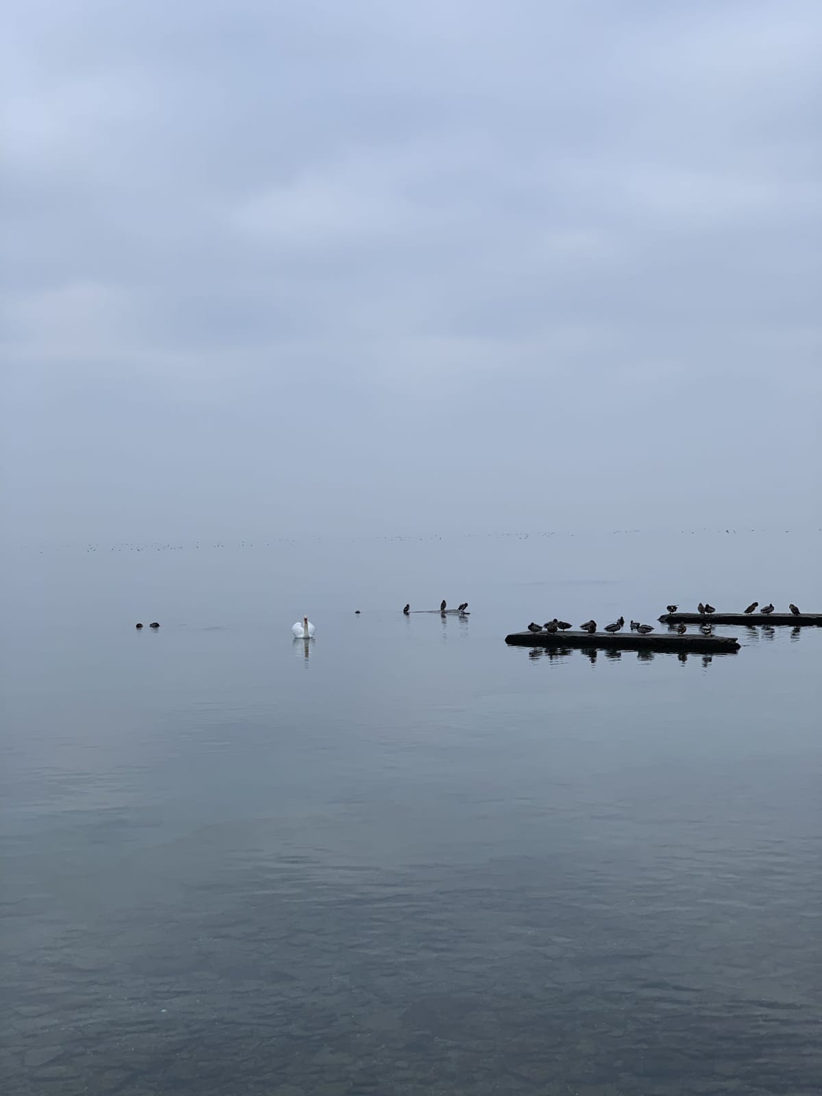 Just as ripples spread out when a single pebble is dropped into water, the actions of individuals can have far-reaching effec