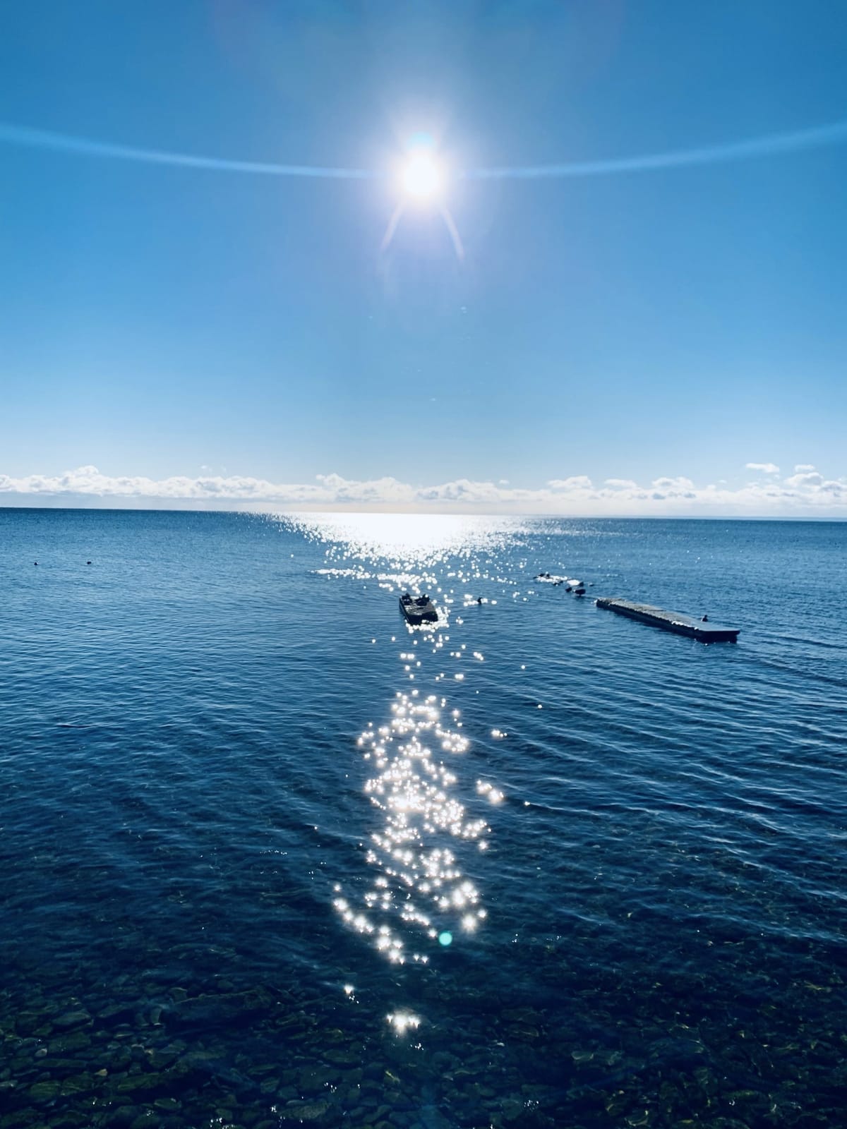 Eat, Play, Love during pandemic lockdown