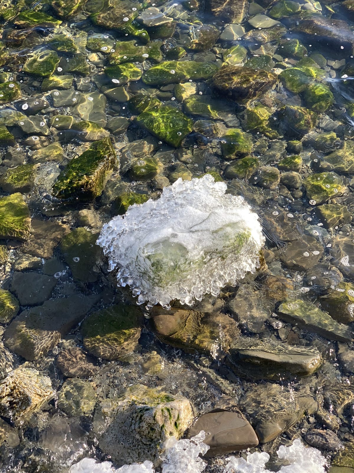 Heaviest snowfall of 2021