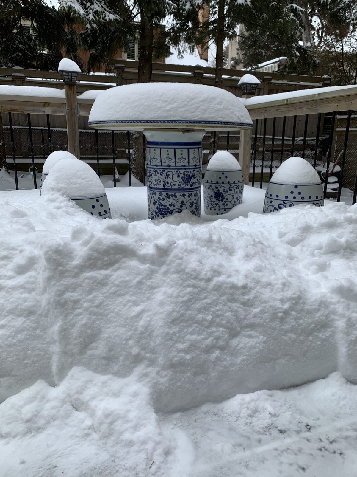 A beautiful winter morning