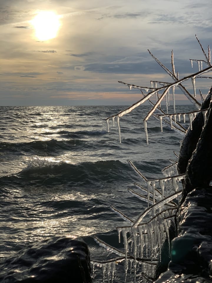 A splendid winter morning