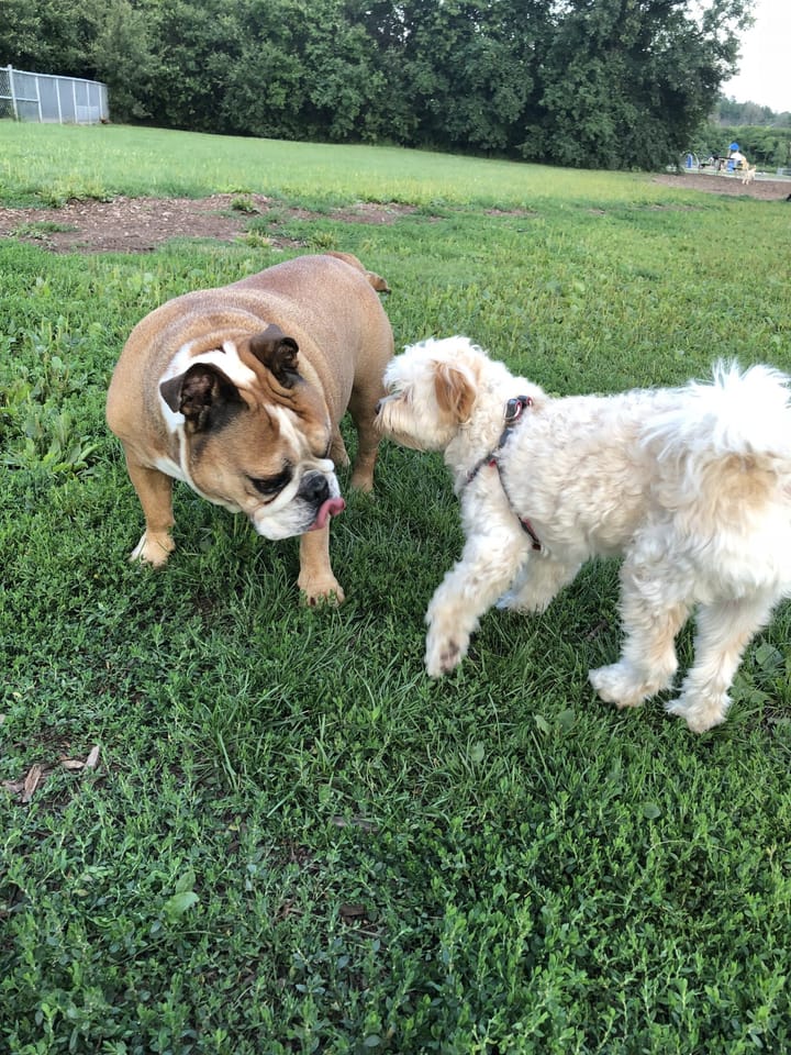 The best way to get started is to quit talking and begin doing!