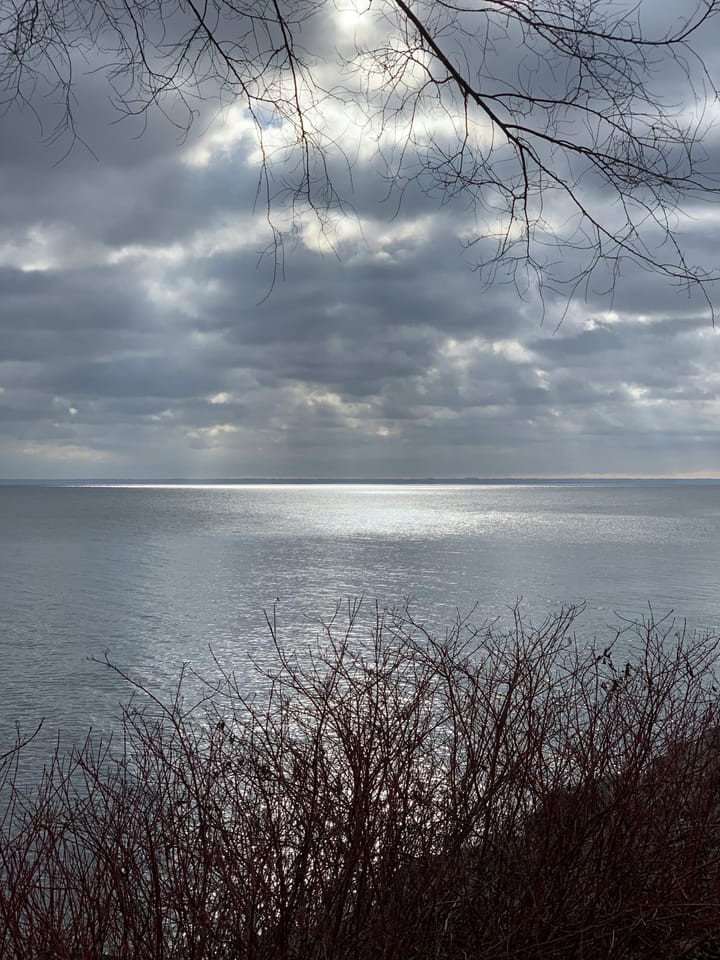 The Pessimist Sees Difficulty In Every Opportunity. The Optimist Sees Opportunity In Every Difficulty.