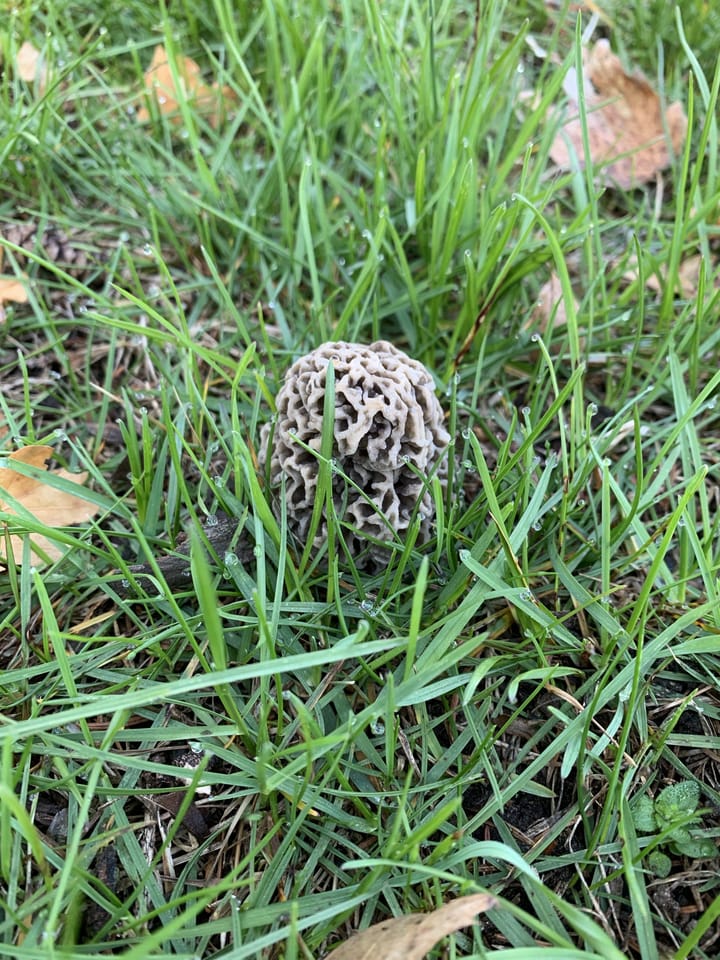 Biggest Blizzard in 20 years